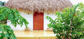 Eco Hacienda ICH-KI